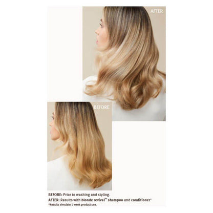 AVEDA Blonde Revival Purple Toning Shampoo 200ml