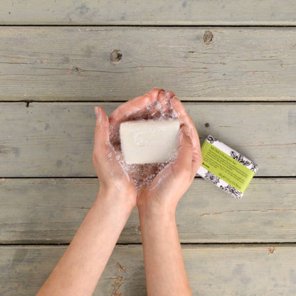 Davines MOMO Shampoo Bar & Case: Moisturizing Solid Shampoo for Dry or Dehydrated Hair